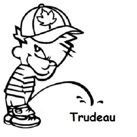 Trump supporter. 💯
💯 #trudeaucangofckhimself.