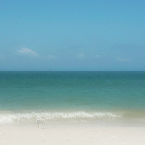 An American Man who believes in 1A, 2A and the American Dream.