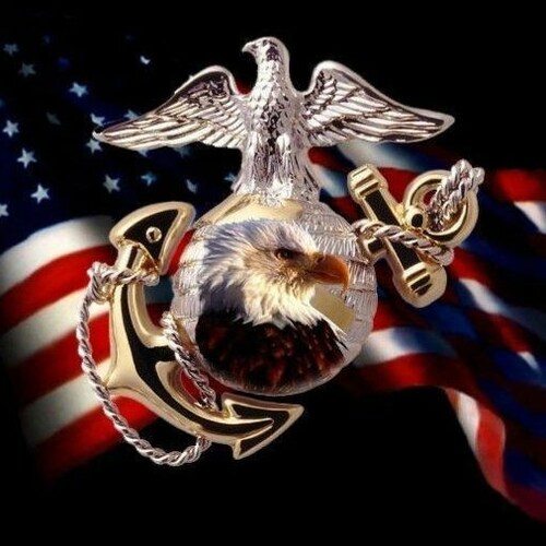 Retired,  Engineer Technician, Constitutional Conservative, USMCR