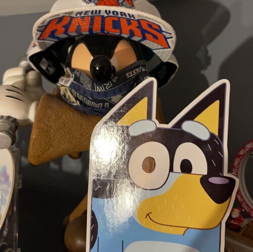 A father of two, Knicks, Yankees, Disney, and Bandit fan.