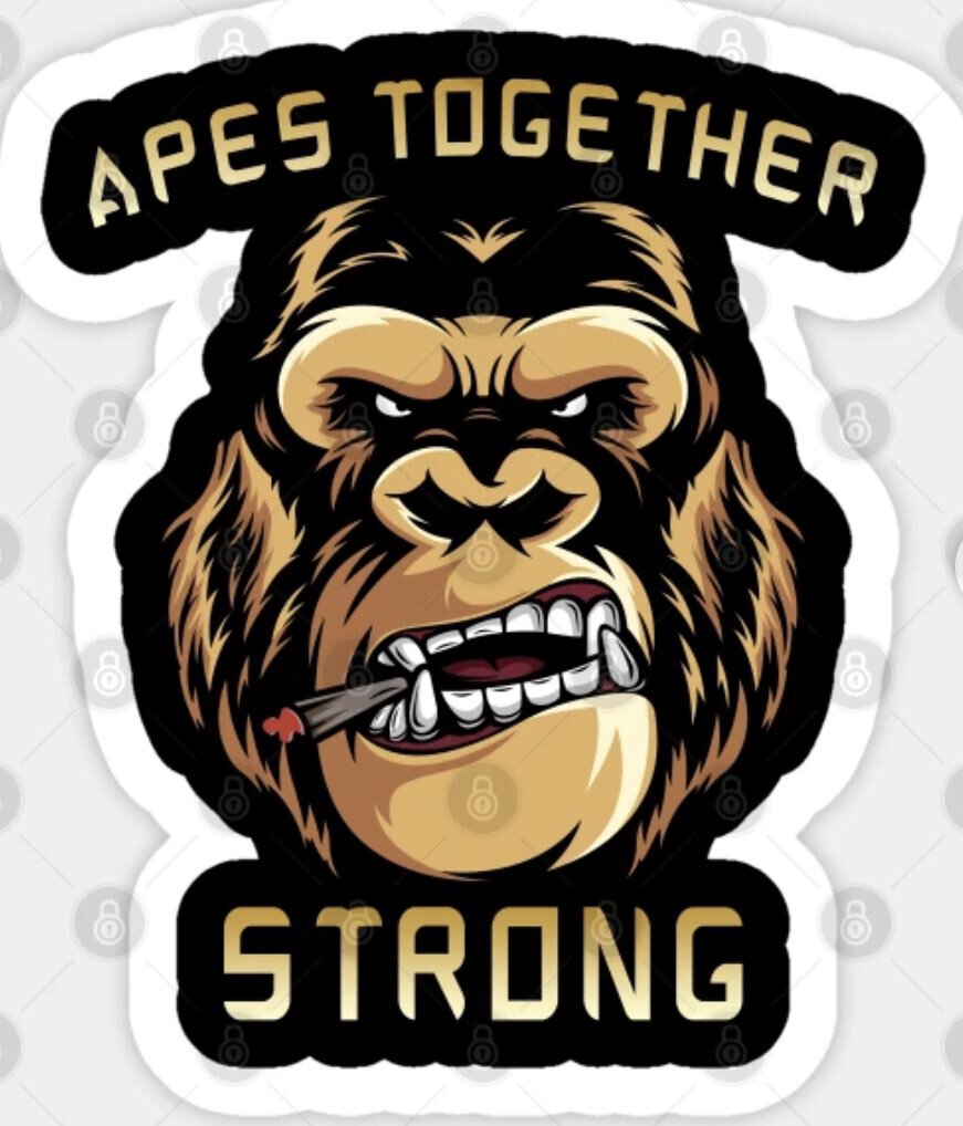 AMC GME APES NOT LEAVING! 

