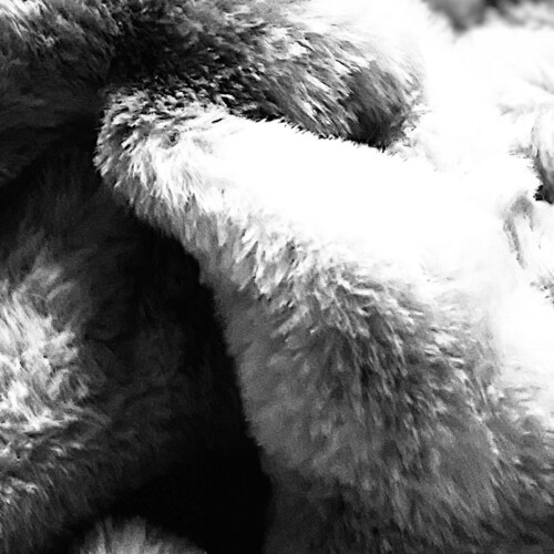 natural medicine practitioner. acupuncturist medical manual therapist. pain destroyer.