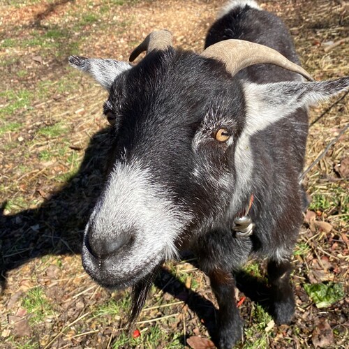 There is a really good chance that I don’t like you.