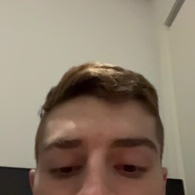 Syrek