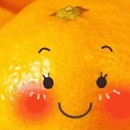 sanggate 🍊