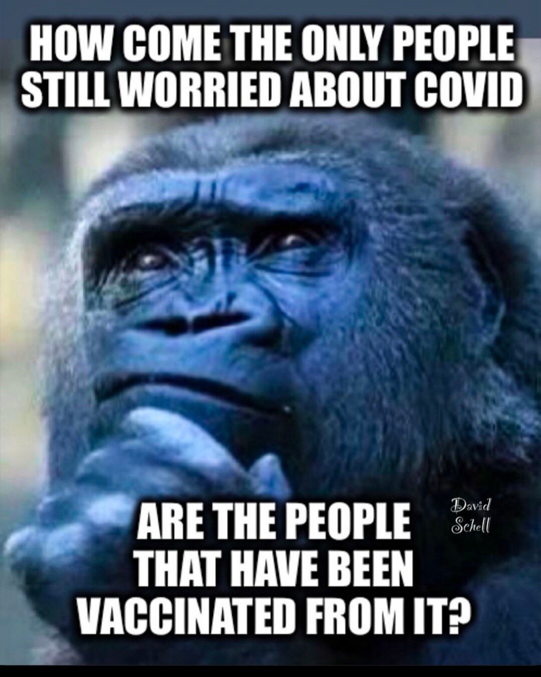 If it works, then what's there to worry about? If it doesn't work, why get it at all?

#covid #rona #nojabforme #love #hate #gettr #bigtech #bigtechcensorship #fjb #lgb 