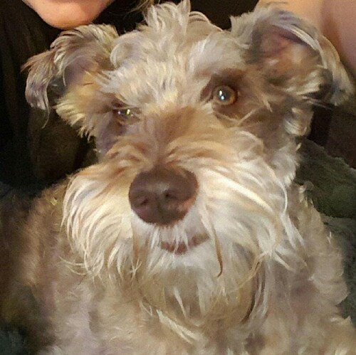 America First. President Trump 2024