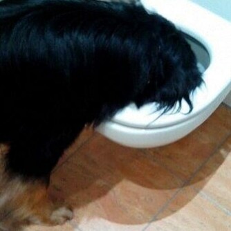 Patriot, Twitter Banned
Mein bester Freund steckt seine👃🏼überall rein, Spitzname Habeck💧🚽
(Tel Aviv, so ist das Leben!)