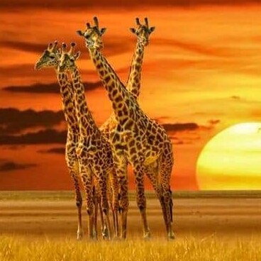 Visit OrendorfO's profile on GETTR. View their posts, photos, videos, and connect with them on the social platform.