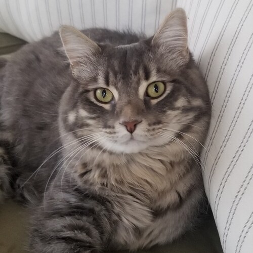 Its all a set up and everyone knows it🍊No vax for me and my family..im not a 🐑
I think for myself🍊come and take it🍊L...