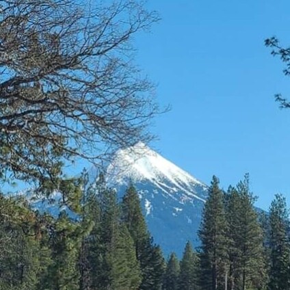 civil servent to America