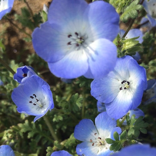 Visit Junkoro's profile on GETTR. View their posts, photos, videos, and connect with them on the social platform.