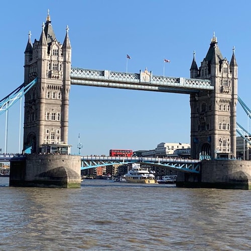 墨尔本雅典娜农场