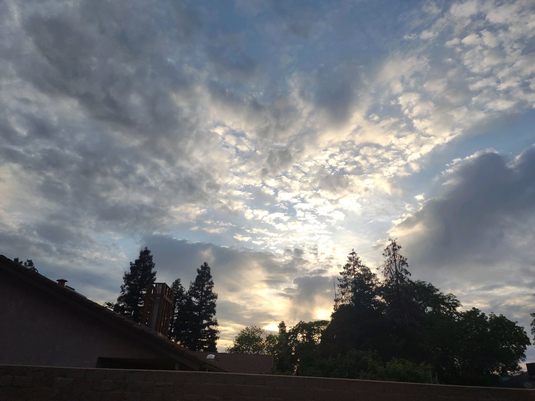 A beautiful evening! 🌴 

