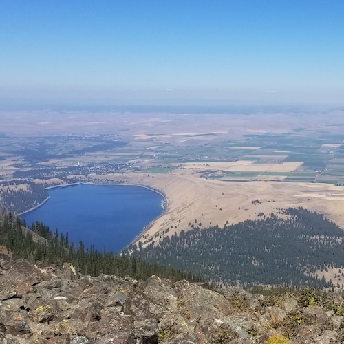 God, family, USA ❤🇺🇸 Trump #45,46,47,48,UltraMAGA,Free Miles Guo,🚫jab healthcare worker,hunter,Hippocrates "all disea...