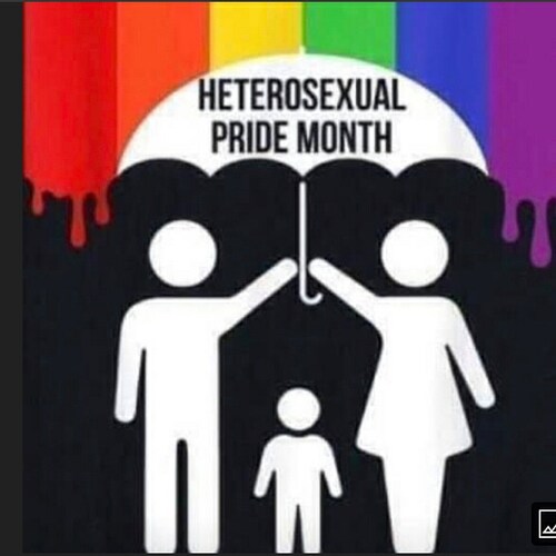 trump2024, Constitutional Conservative,  Pro-life, 2A, Pro-Israel, RINO'S need to go