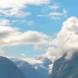 富有人性 尊重生命 熱愛生活 心平氣合