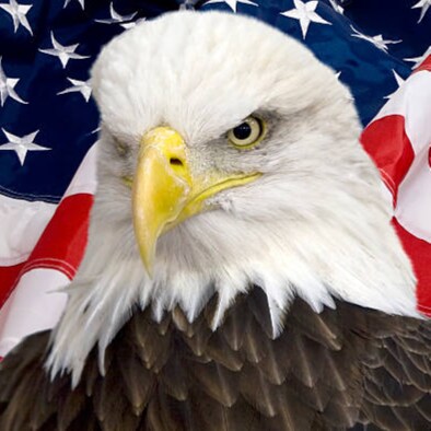 Proud Conservative #FREEDOM #TrumpWON #MAGA #Veteran #USASTRONG