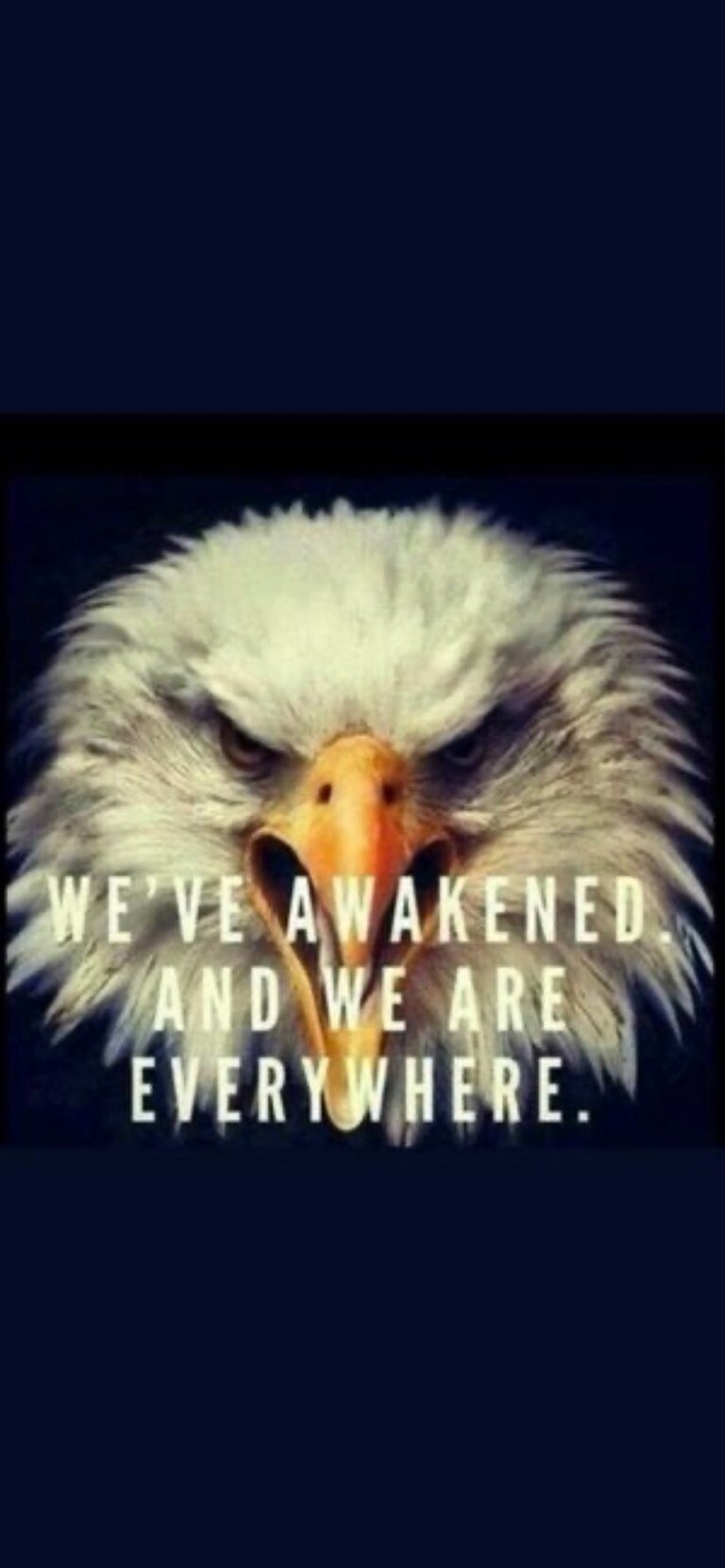 United We Stand
๐บ๐ธ๐บ๐ธ๐บ๐ธ๐บ๐ธ๐บ๐ธ
FOLLOW ALL
REPOST
REPLY with your handle for a ride
@GreyLady
@Todd4America
@JamesPidd
@GrandmaPat