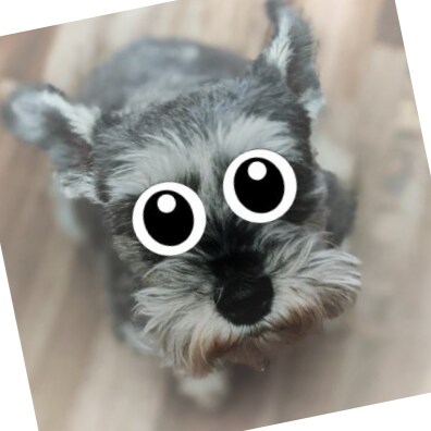 Skilled typoist. Due to an old culture war injury, I am unable to bend my knee. I am a God-fearing #PatHead and married ...