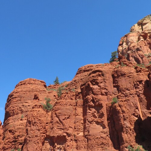 Wife, Mother of 3, Grandmother of 2, Army "Brat," Retired Catholic School Teacher & Administrator, Conservative, Constit...