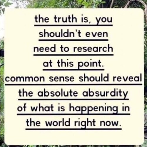 ProLife, Conservative, Anti-ALL Jabs, Christian, Pro2A, homeschooling, pro-meat-eating. Against alphabet mafia’s agenda....