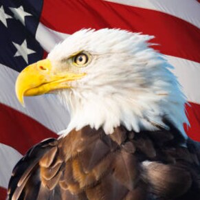 Constitutional Conservative living in Central PA