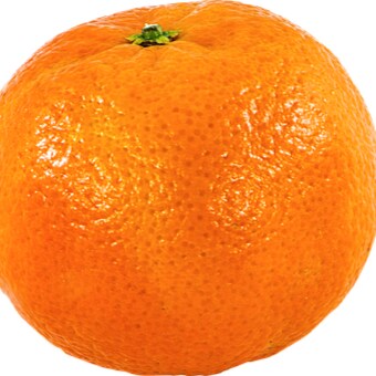 Visit OtisWoe's profile on GETTR. View their posts, photos, videos, and connect with them on the social platform.