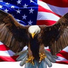Jesus is Lord. Freedom isn't free. Trump won. Airborne Pathfinder, 101st.  Prov 14:34 Righteousness exalts a nation, but sin is a reproach to any people. 2A=&gt;1A
