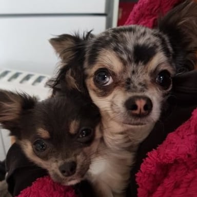 Visit ikkypiggy's profile on GETTR. View their posts, photos, videos, and connect with them on the social platform.