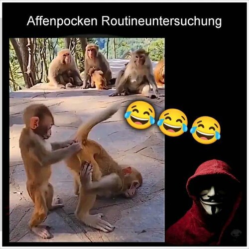 Achtung Affenpockengefahr bei Festivals, so Medienerichte Gestern
Am besten wäre es , wenn  All unse...