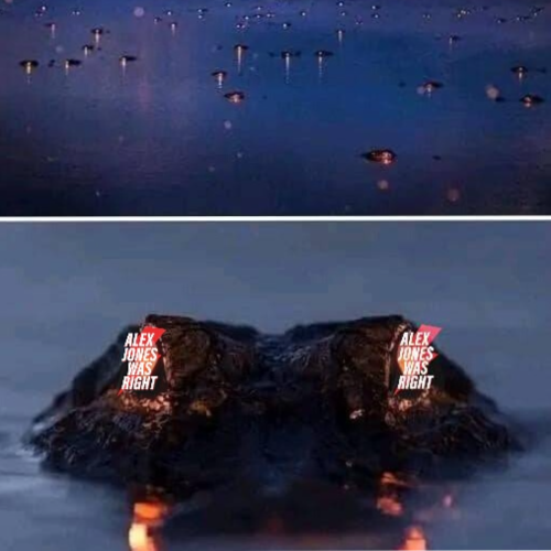 Visit timothylassley's profile on GETTR. View their posts, photos, videos, and connect with them on the social platform.