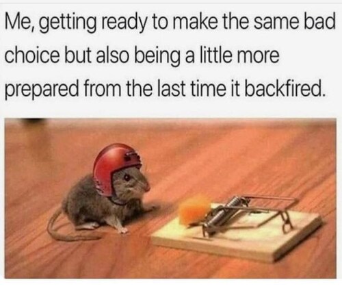 View END49X's post on GETTR. Join the discussion, share your thoughts, and connect with the community.