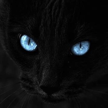 Marine daughter #MAGA #AMC