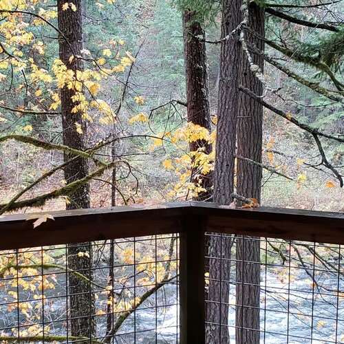 I stand for our Flag, our military,  our first responders our country our President #45 and God. If that offends, them j...