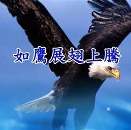 Love life and live it!