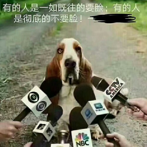 国内的战友，我再告诉大家，在保证你安全、在不影响你生活、又极为愉悅的情況下，包括不能影响第三方，传播爆料革命.其他什么都不用做。任何人在爆料革命当中只想得到，不想付出的，那不是我们的战友。兄弟姐妹们一定要貞诚。