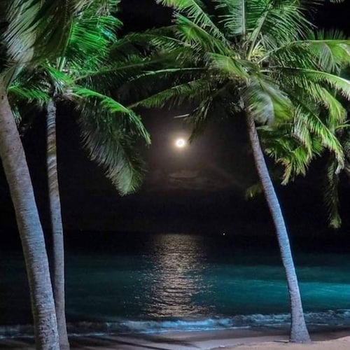 Visit FBbanned's profile on GETTR. View their posts, photos, videos, and connect with them on the social platform.