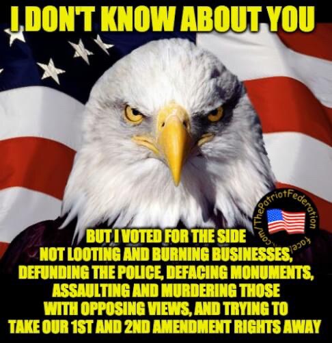 SHARE if you voted for AMERICA and not LOOTERS AND RIOTING SOCIALISTS!
