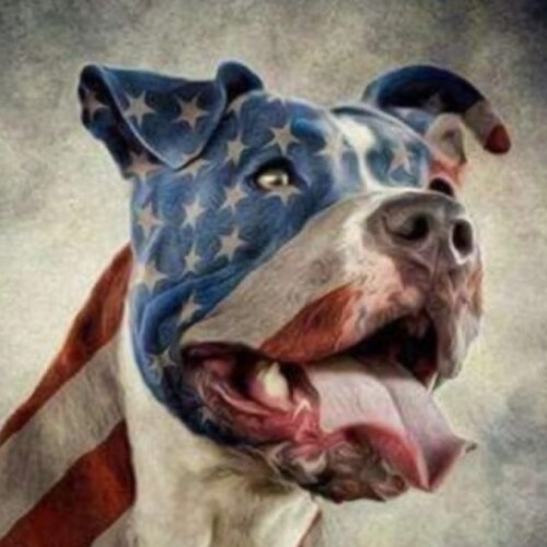 PROUD Republican Patriot 
Trump Conservative 
#NoJabForMe