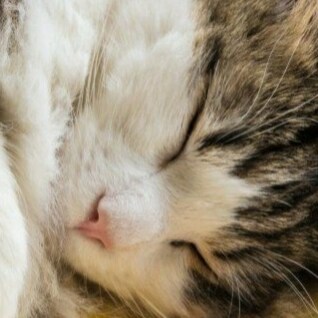 訪問 kek 在 GETTR 的個人資料。查看他們的貼文、照片、影片，並在社交平台上與他們聯繫。