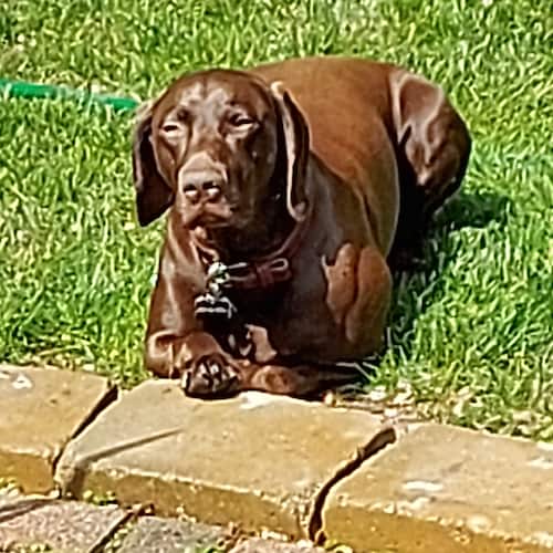 Canadian looking for the truth