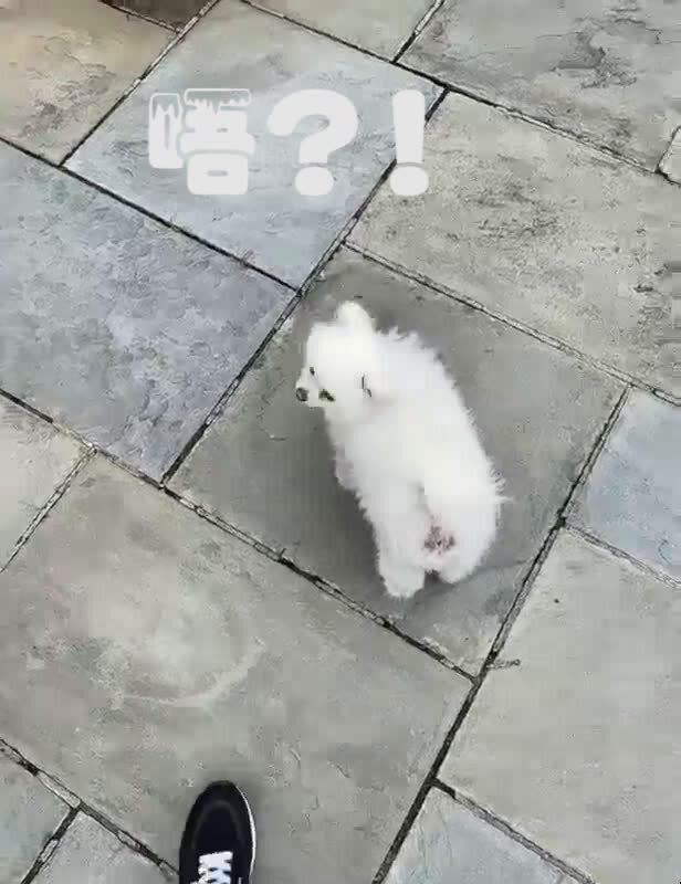 银河系：星球主，天边小面包作品。😁😁