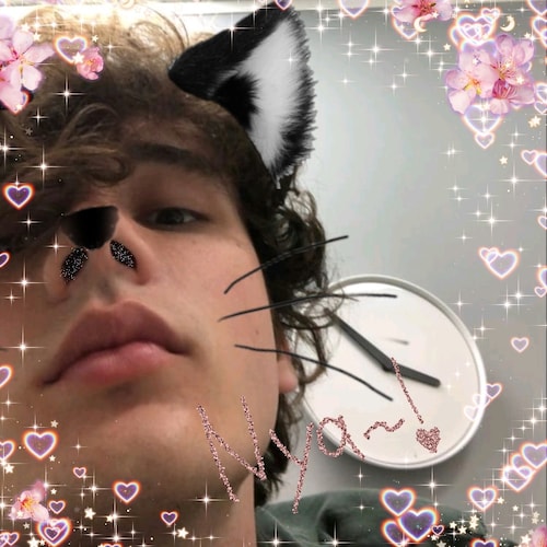 art is dead- Bo burnham