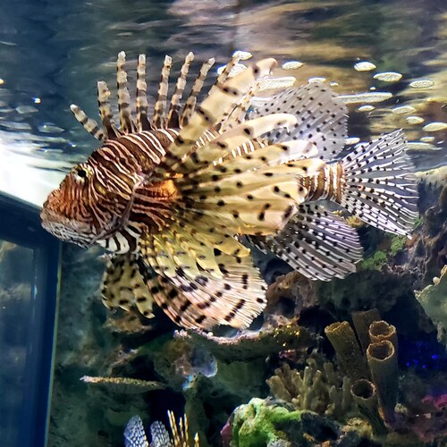 Common sense gal.  Don't be so open-minded your brain falls out. 😉