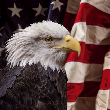 Just a simple man bring you my humble thoughts,facts,& information. So you can exercise your God given right to make you...