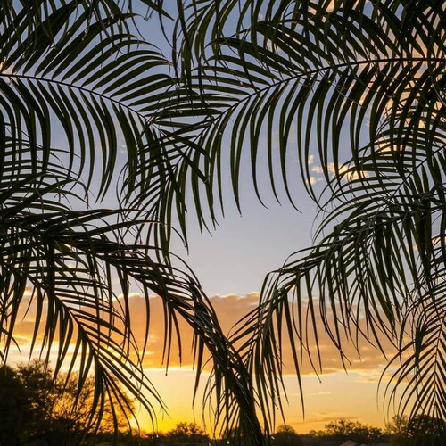 Wife,Mom,Christian, TRUMP America First Republican, Bannon War Room Warrior, "There are more of us than there are of the...