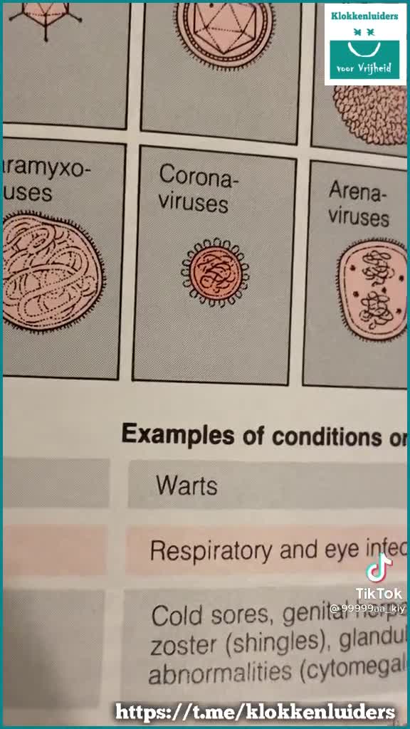 #Covid19 #Weaponised Common Cold by the Chinese 

