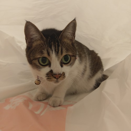 -¦-

Take Down The Chinese Communist 
Party❗❗❗

Chinese people ≠ CCP