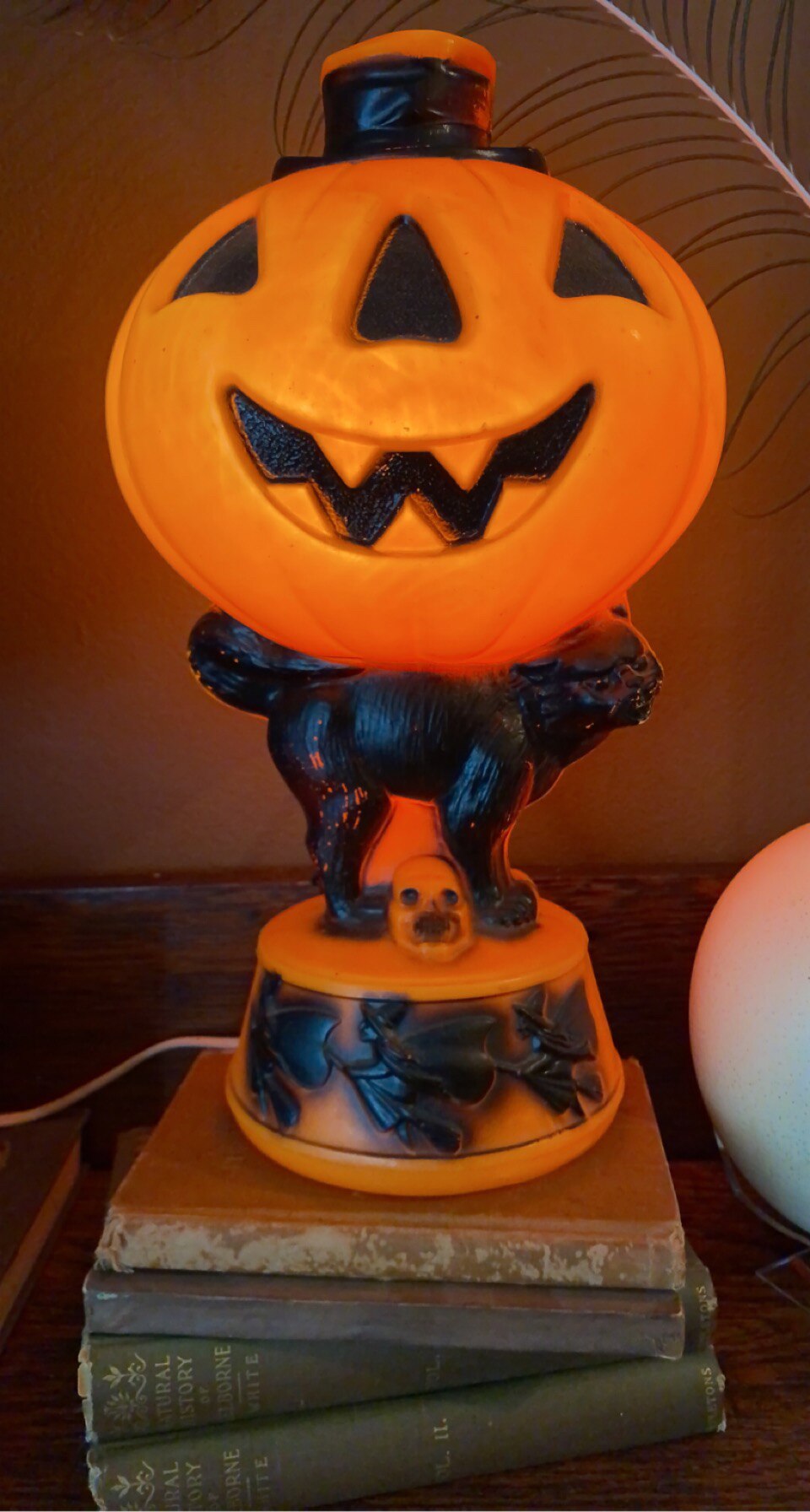 Tis the season to be spooky!